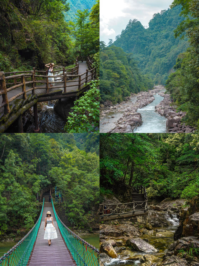 廣東周邊遊｜郴州莽山2日1夜玩到唔想返！