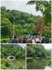 ## 黔靈山公園避猴指南