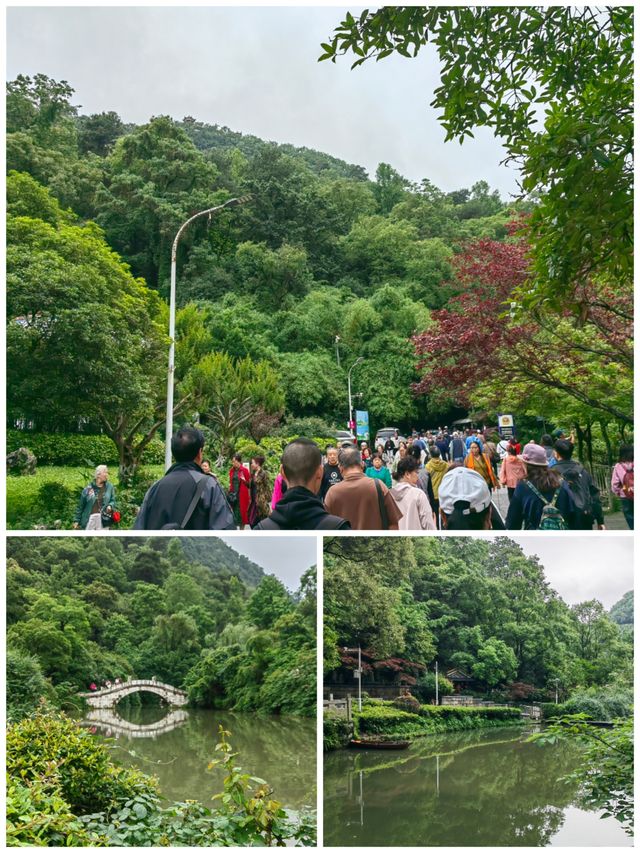 ## 黔靈山公園避猴指南