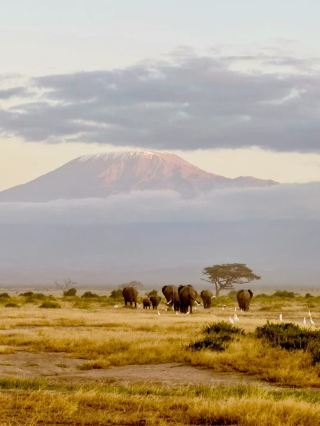 Kenya 10-Day In-Depth Tour | Ultimate Guide You Can't Miss
