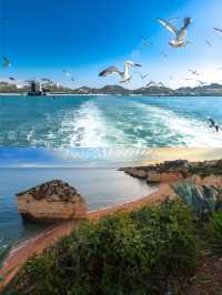 海驢島旅遊攻略：打卡「中國黑尾鷗之鄉」