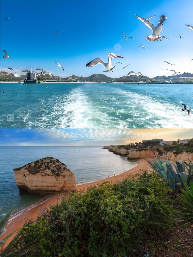 海驢島旅遊攻略：打卡「中國黑尾鷗之鄉」