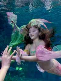 來西安必打卡華夏文旅海洋公園駝鈴傳奇秀