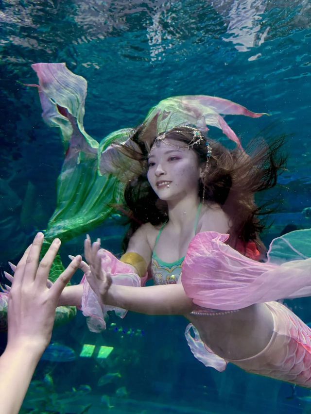 來西安必打卡華夏文旅海洋公園駝鈴傳奇秀