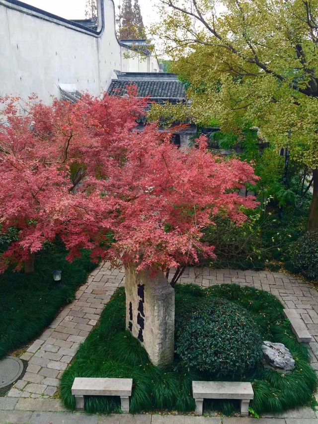 嘉興蘭庭，夢迴煙雨江南