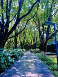 蘇州崑山巴城生志濕地公園:周邊遊