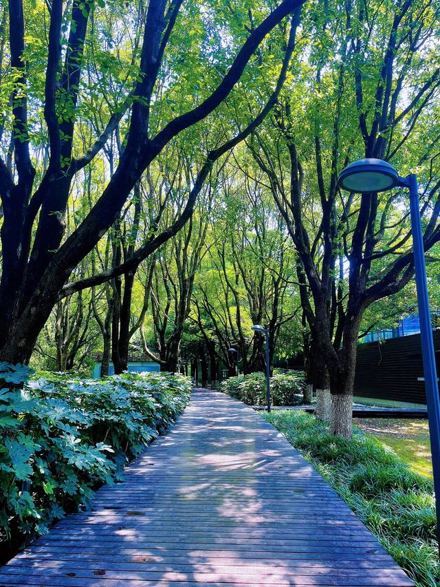 蘇州崑山巴城生志濕地公園:周邊遊