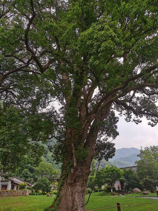 皖南山水秘境攻略