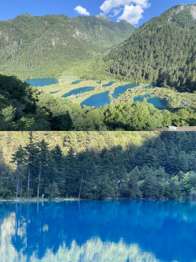 九寨溝已回，亂讀中。。。