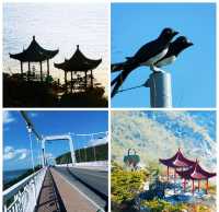 大連濱海路係呢座城市最浪漫嘅風景線之一，蜿蜒40公里串聯山海