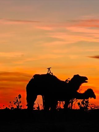 Recommended Kasbah Hotels in Merzouga, Morocco