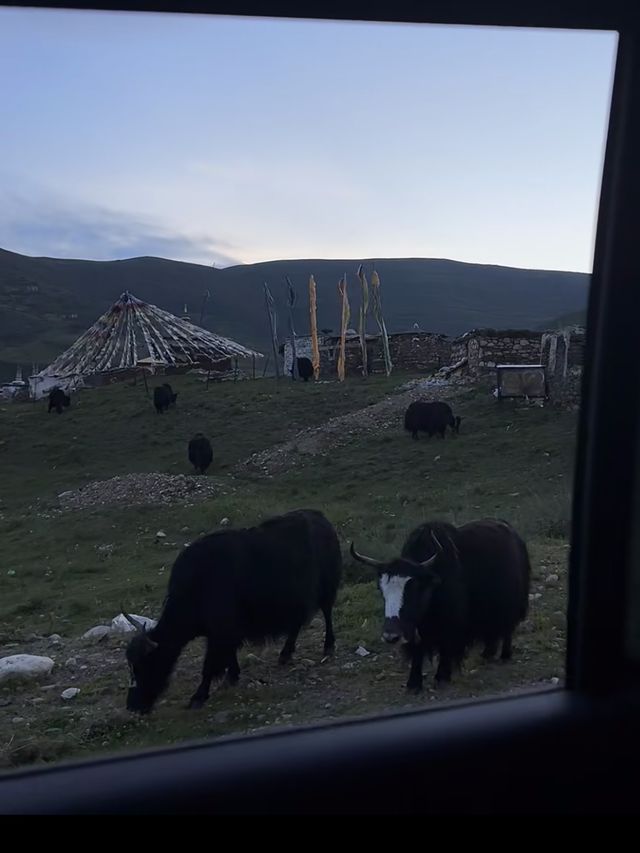 向川西出發，赴一場天地盛宴