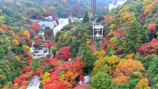 Japan Cable Car Tours, Enjoy Stunning Autumn Adventures