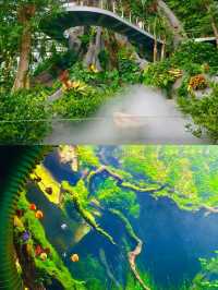夢幻溫室花園冇白嚟！湊B好去處
