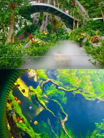 Dreamy Greenhouse Garden is definitely worth a visit! A great place to take the kids