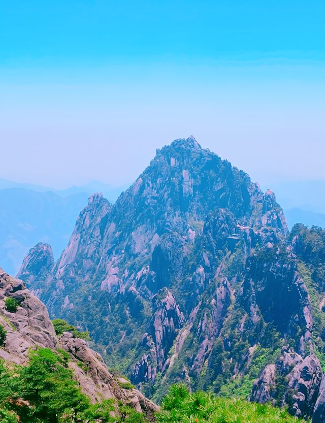 黃山懶人攻略｜後山上前山下！新手友好路線 看遍精華還不累