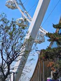 Experiencing the All-New Suzhou Eye