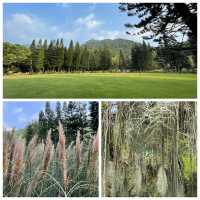 仙湖植物園:闖入都市中的綠色秘境🌿