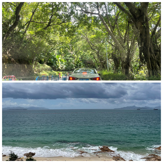 🌊深圳漫遊記：一半山海，一半繁華的閒逛攻略