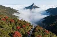 井岡山秋遊碎碎唸：紅土地的秋天比想像中好睇得多