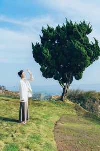 如果只來青島1天，建議直接複製這條路線。