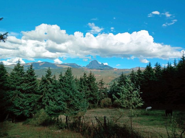 Title: Hidden Gems of Yunnan: A Journey into Remote Tibetan Villages