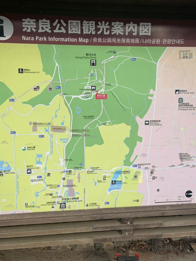 奈良宇治古都慢活之旅🌸  