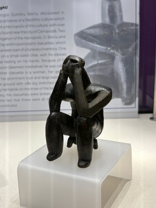 Limited Access at the National Museum of History of Romania