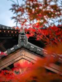 上海寶山寺，一座斬獲中國建築界「奧斯卡」