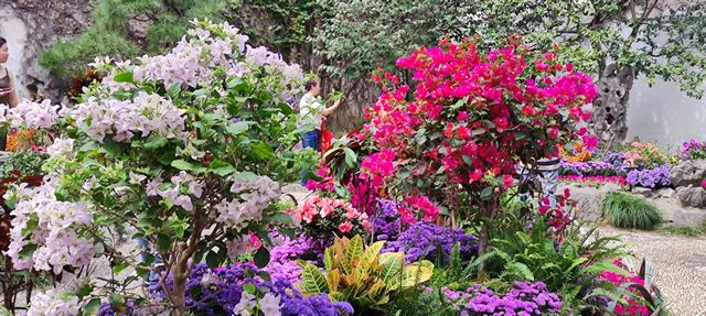 綠意依然、鮮花盛開的留園