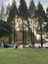 秋色湖景打卡聖地 東錢湖｜100次打卡都嫌不夠的寶藏地