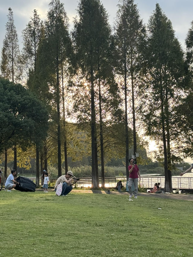 秋色湖景打卡聖地 東錢湖｜100次打卡都嫌不夠的寶藏地