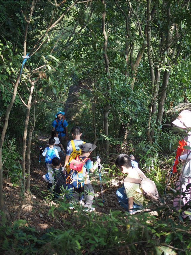 野路子徒步！記山野裡衝衝衝的少年們