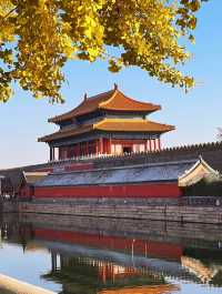秋天的景山公園，紅牆與金黃銀杏相映成趣，是賞秋的絕佳去處。