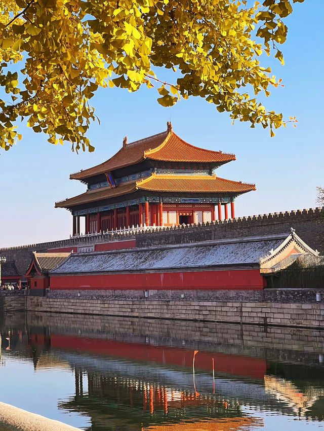 秋天的景山公園，紅牆與金黃銀杏相映成趣，是賞秋的絕佳去處。
