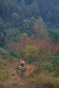 成都周邊一日往返，個不廢腿的彩林秘境