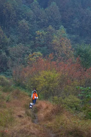 Day Trips Around Chengdu: Easy-on-the-Legs Colorful Forest Secret Spots