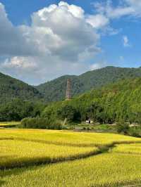 天台山茶香秋色遊