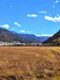 遇見魯朗日照金山