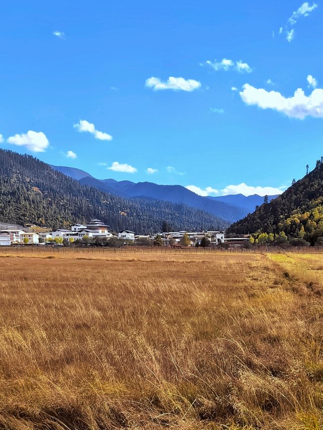遇見魯朗日照金山
