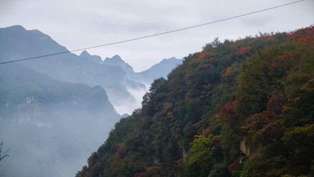 鄭州｜週末活動彙總賞秋專線