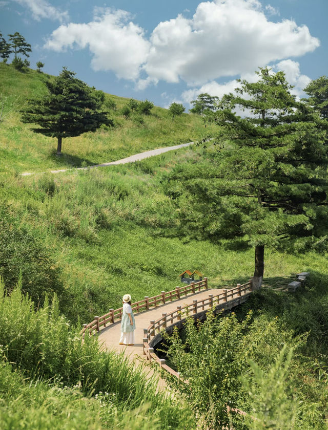 高山草原度假指南 高山草原度假指南