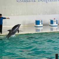 🐧오타루 수족관에서 펭귄과 눈꽃을 만난 날