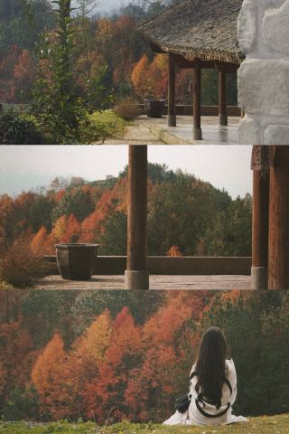 A Hidden Guesthouse Among the Terraced Fields