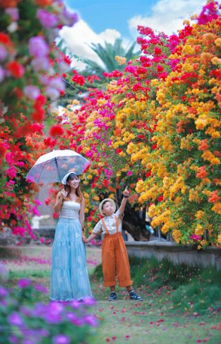Take Fairy Tale Photos! Half-Day Tour of Chen Village Bougainvillea Flower World