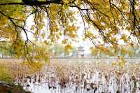 立冬的頤和園#北京的秋冬