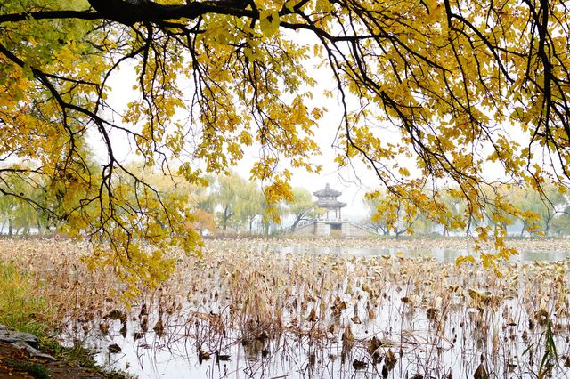 立冬的頤和園#北京的秋冬