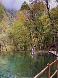 掉進川西紅葉童話成都周邊撿秋攻略！