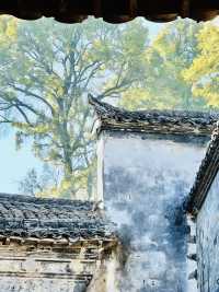 景德鎮1日遊 包車打卡超盡興