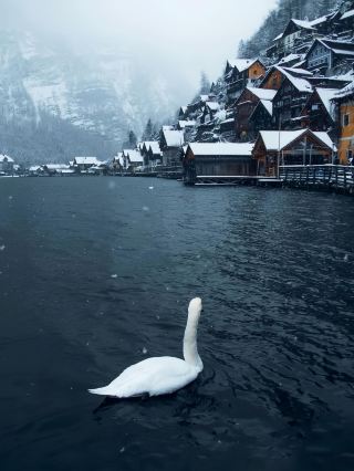 Austria's Most Beautiful Winter Town Enters the World of Andersen's Fairy Tales…